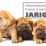 Hartelijk Gefelicteerd!