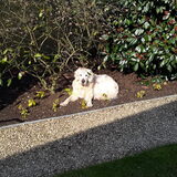Ik ga graag tussen de planten liggen