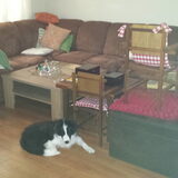 Foto van carla en Buddy