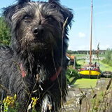 Foto van Ciska en Spanjaardje Moh (Bambi r.i.p.)