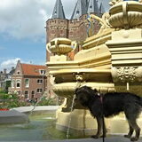 Foto van Ciska en Spanjaardje Moh (Bambi r.i.p.)