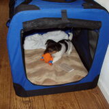 Foto van binkie 22-09-2009