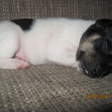 Foto van Ans