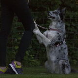 Foto van Angelique; Bruno, Charlie & Fenna