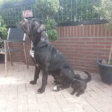Foto van Tosca en ik