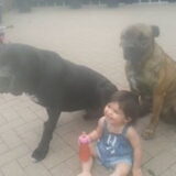Foto van Tosca en ik