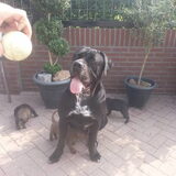 Foto van Tosca en ik