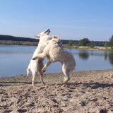 Aan het spelen met broerlief!
