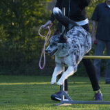 Foto van Angelique; Bruno, Charlie & Fenna