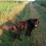 Foto van Jeanine :)
