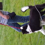 Foto van carla en Buddy