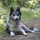 Foto van Angelique; Bruno, Charlie & Fenna