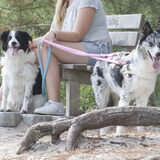 Foto van Angelique; Bruno, Charlie & Fenna
