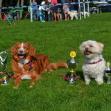 Foto van Sigrid, Sandy, Diva & Nala