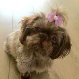 Rosie 1 jaar