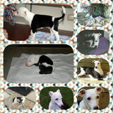 Foto van Yvonne Levi & Tygo& Kenzo