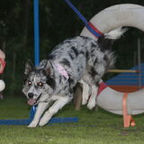 Foto van Angelique; Bruno, Charlie & Fenna