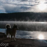 Foto van Alaska's Finest!