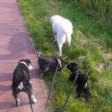 Foto van Silla en Bo & Yunah