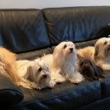 Foto van Xtine