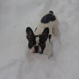 Sneeuw-pret
