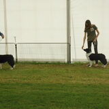 Foto van Lise met Ruby, Naïn & Qalvin