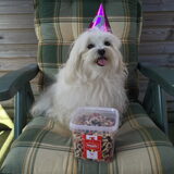 Polly 2 jaar!