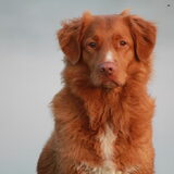 Foto van Luan en Lenne