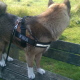 Foto van Jackie en Kiba:)