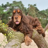 Foto van Valérie, Milo en Noa