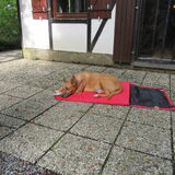 Foto van yooop