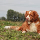 Foto van Luan en Lenne