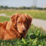 Foto van Luan en Lenne