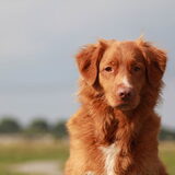 Foto van Luan en Lenne