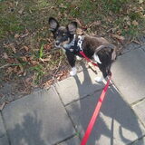 Lekker wezen wandelen :D