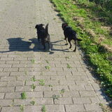 Foto van Roos,Jeff † en Waldo † en Mootje †