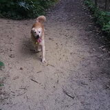 Foto van Jeanine :)