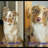Foto van Danielle, Kyra*Kaylin*, Djaira en Djaidey
