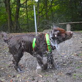 Foto van Jeanine :)
