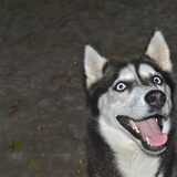 Foto van Jeanine :)