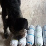 Foto van Ciska en Spanjaardje Moh (Bambi r.i.p.)