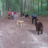 Foto van Jeanine :)