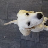 Foto van Kel