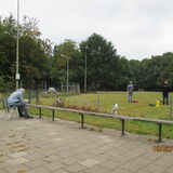 Foto van carla en Buddy
