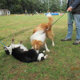 Foto van carla en Buddy