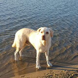 Foto van esther