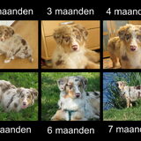 Foto van Danielle, Kyra*Kaylin*, Djaira en Djaidey