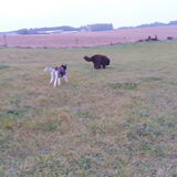 Foto van Jeanine :)