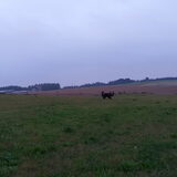 Foto van Jeanine :)