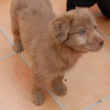 Foto van Elly